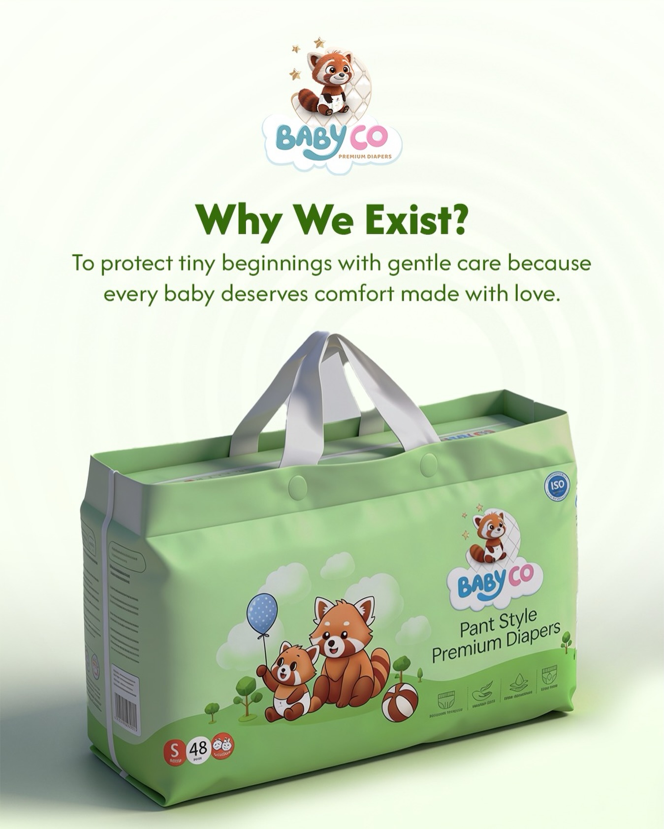 Baby Moon — Why We Exist